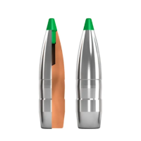 Norma Ecostrike .308