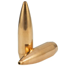 Sellier & Bellot .308 165gr Sellier & Bellot .308 165gr