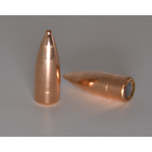 Sellier & Bellot 7.62 124gr FMJ